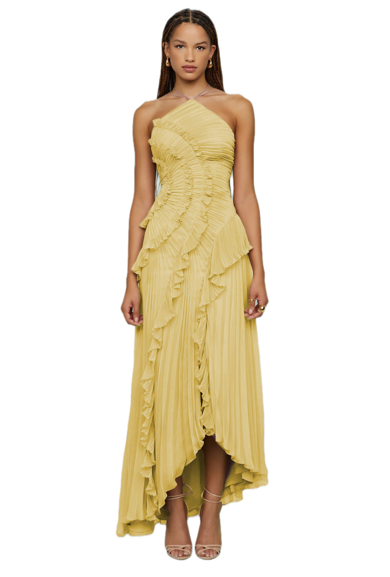 Ruffled Pleated Halterneck Dress
